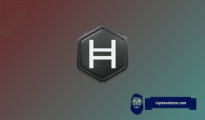 Hedera Hashgraph (HBAR): Fünf Jahre später – eine Analyse des Potenzials und der Bewertung - cryptocurrency news by Michael Steinbach and Biturai | biturai.com