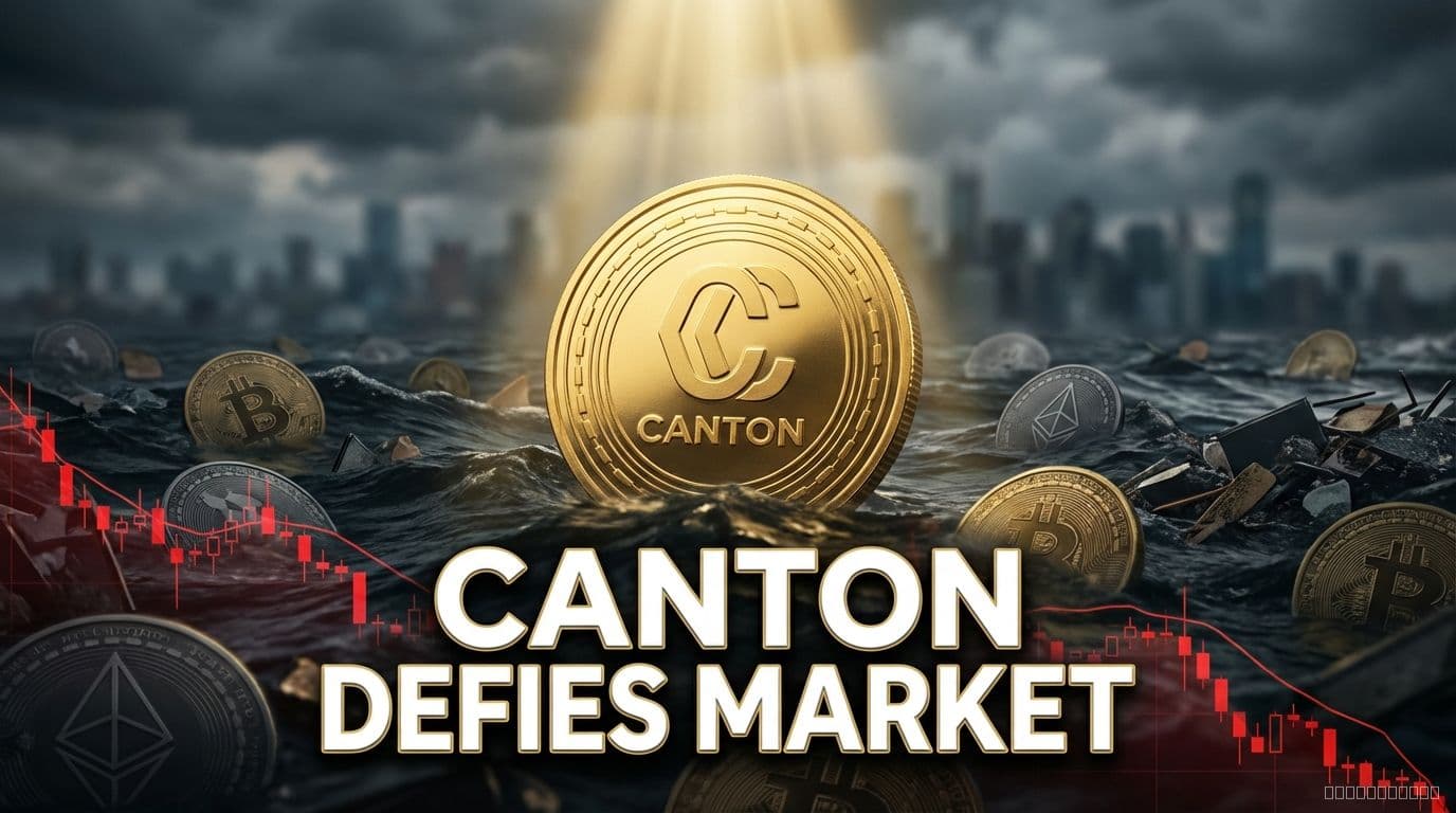 Canton Defies Market Downturn Soars to New Peak Amidst Broader Cryptocurrency Retreat - FLOW, BULLISH, CC trading analysis by Michael Steinbach and Biturai | biturai.com