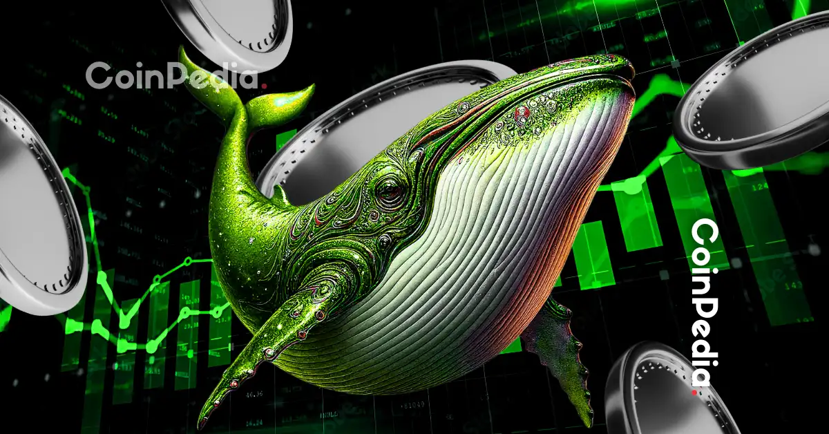 PIPPIN und HYPE übertreffen den Markt: Volumen und Struktur treiben massive tägliche Gewinne an - BULLISH, TOP, MASS cryptocurrency news by Michael Steinbach and Biturai | biturai.com